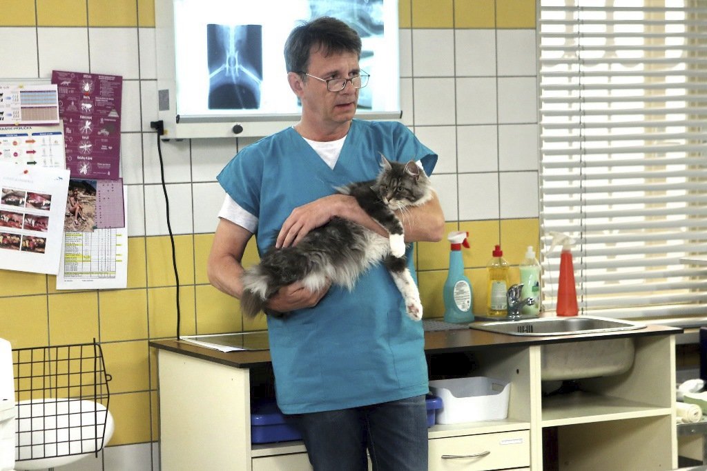 Jan Šťastný teď hraje veterináře.