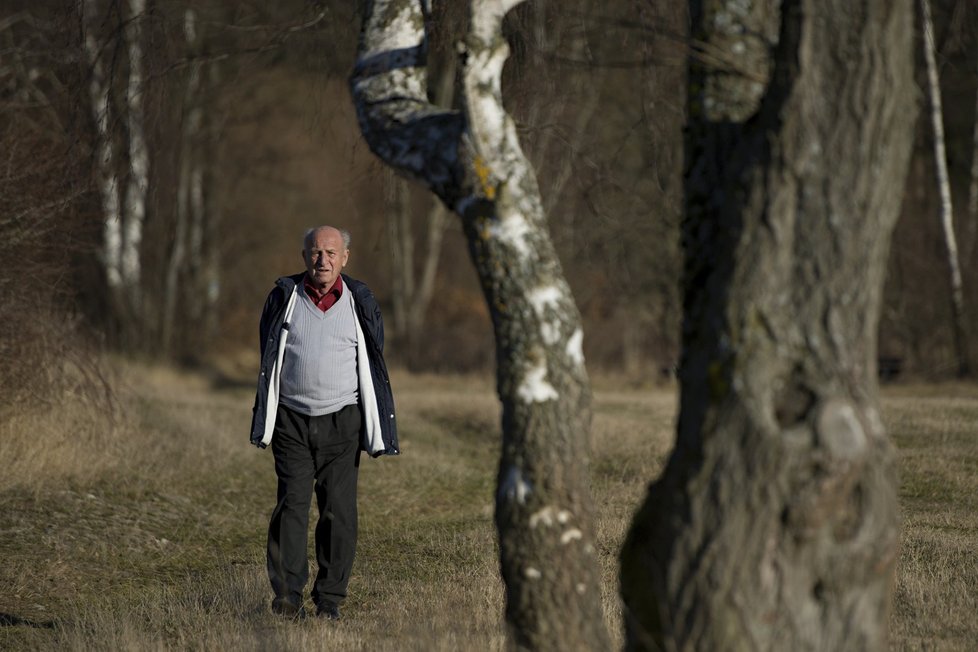 Poslední československý premiér Jan Stráský slaví na Štědrý den narozeniny. Letos už 75. a stále je aktivním turistou. Ročně zvládne pěšky alespoň 600 kilometrů