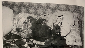 Snímky z místa činu z knihy Lovec přízraků – Vraždy, které šokovaly republiku