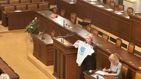 Ministryně obrany Jana Černochová (ODS) ve Sněmovně šermuje s tričkem se stíhačkami F-35 (6.2.2024)