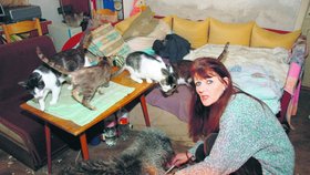 Kočky vládnou celé domácnosti. Jana Dusíková jim dává doslova první poslední.