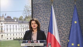 Ministryně práce a sociálních věcí Jana Maláčová na tiskové konferenci po jednání vlády (17. 6. 2019)