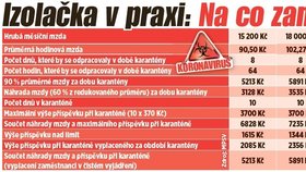 Izolačka od Maláčové: Rozdíly podle příjmů. Na kolik si přijdou zaměstnanci při karanténě?