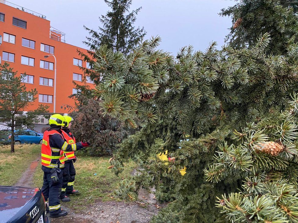 Na budovu dětského domova se školou v ulici Jana Masaryka na Vinohradech spadl strom, 10. února 2020.