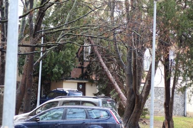 Na budovu dětského domova se školou v ulici Jana Masaryka na Vinohradech spadl strom, 10. února 2020.