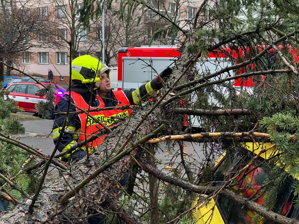 Na budovu dětského domova se školou v ulici Jana Masaryka na Vinohradech spadl strom, 10. února 2020.