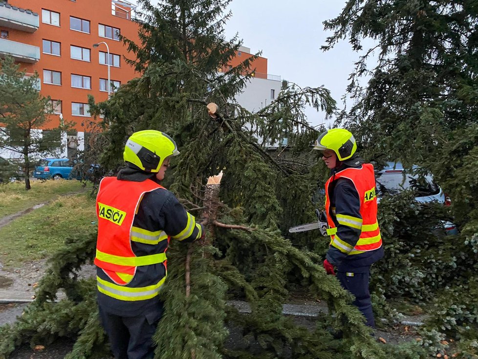 Na budovu dětského domova se školou v ulici Jana Masaryka na Vinohradech spadl strom, 10. února 2020.