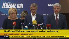 Jana Mračková Vildumetzová po oznámení rezignace na post místopředsedkyně Sněmovny plakala.