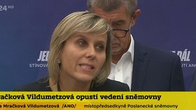 Jana Mračková Vildumetzová oznámila rezignaci na post místopředsedkyně Sněmovn.