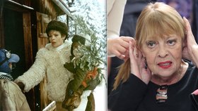 Jana Šulcová (73), hvězda filmu S tebou mě baví svět: 11 měsíců nevyšla z domu!