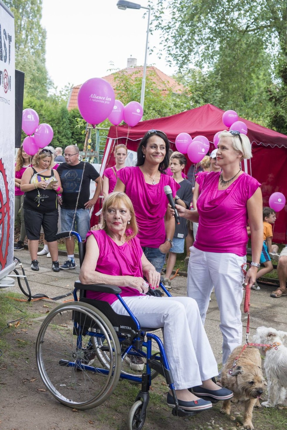 Šulcová se Avon pochodu proti rakovině nechtěla vzdát, proto přijela na vozíku. Pěšky by to neušla.