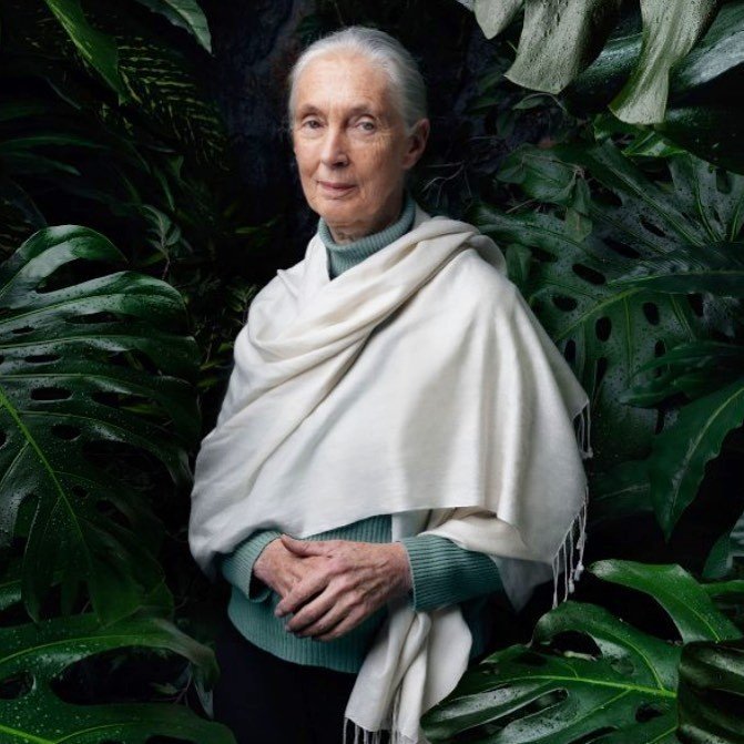 Známá vědkyně Jane Goodallová