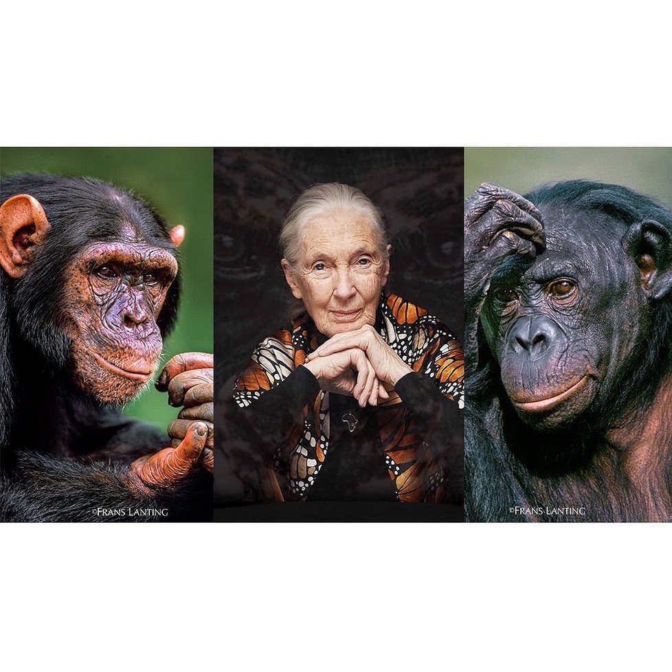 Známá vědkyně Jane Goodallová