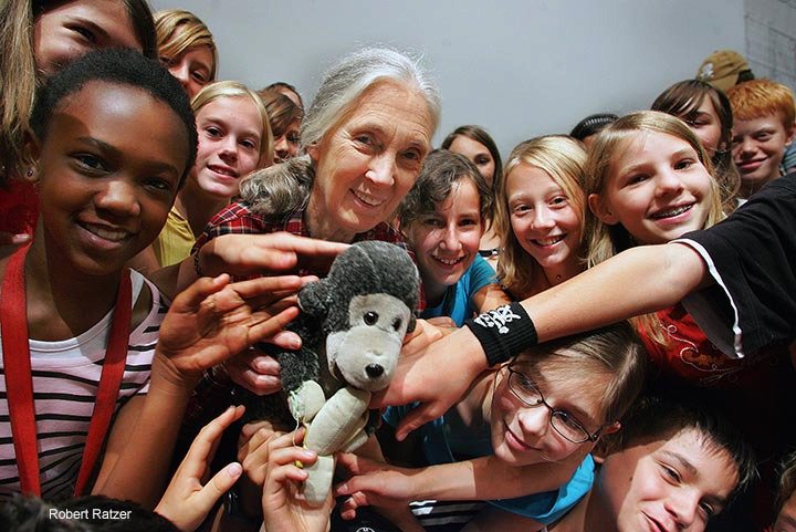 Jane Goodallová začala zkoumat společenské struktury mezi šimpanzi v parku Gombe a zjistila neuvěřitelné věci