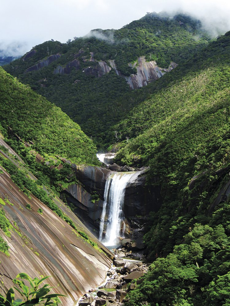 Vodopád Senpiró-no-taki je jeden z nejhezčích na Jakušimě