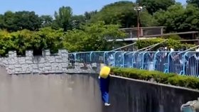 Američan v kostýmu vlezl do výběhu makaků.