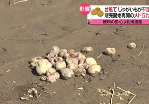 Japonci omezují výrobu chipsů kvůli katastrofální neúrodě brambor.