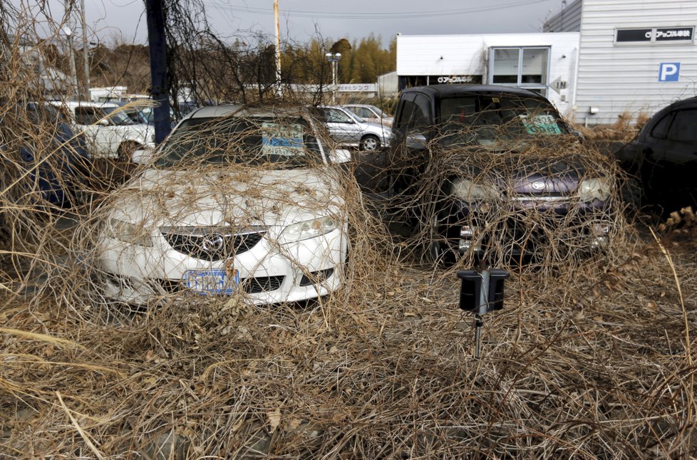 Do japonského města Ókuma u jaderné elektrárny Fukušima se po 8 letech vrací život.