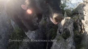 Horolezce napadl medvěd na hoře Futago v Japonsku.