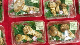 Matsutake je v Japonsku považována za delikatesu.