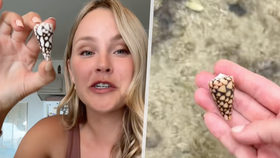 TikTokerka Becky Leeová si na pláži v Japonsku hrála s ulitou: Uvnitř číhal jeden z nejjedovatějších tvorů oceánu
