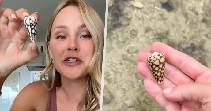 TikTokerka Becky Leeová si na pláži v Japonsku hrála s ulitou: Uvnitř číhal jeden z nejjedovatějších tvorů oceánu