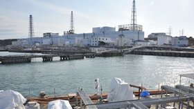 Mezinárodní agentura pro atomovou energii ve své zprávě uvedla, že Japonsko nezajistilo správně ochranu proti všem přírodním pohromám.