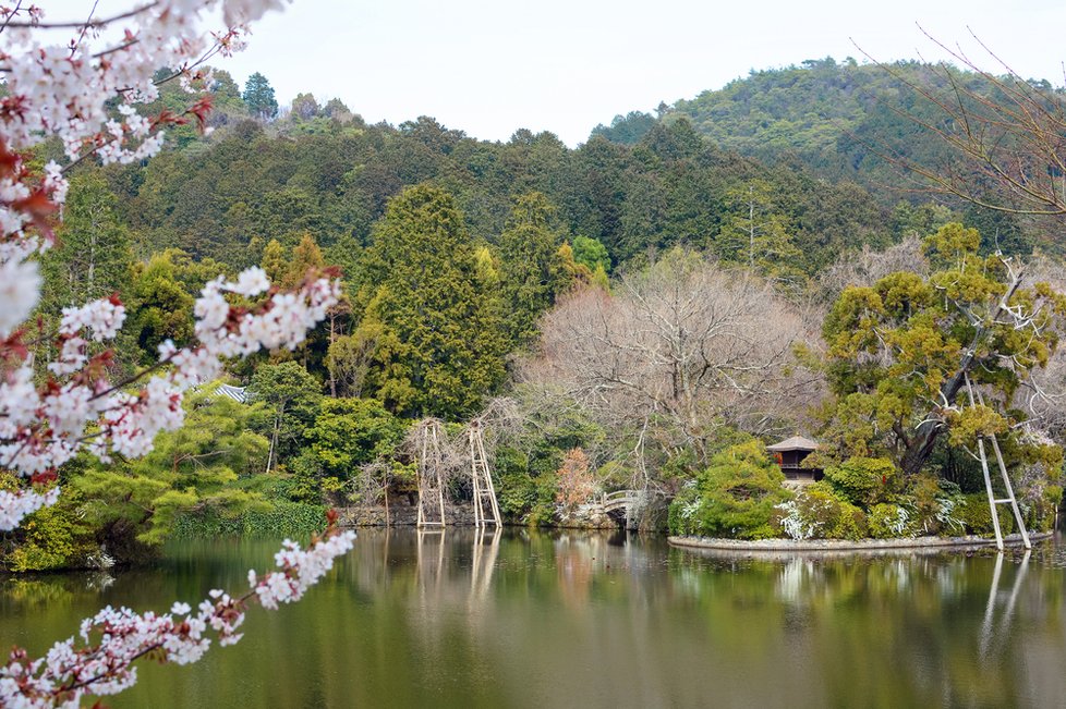Zahrada patřící k chrámu Rójandži, Japonsko
