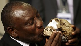 Objev dosud neznámého druhu homo naledi v Jihoafrické republice
