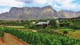 Vinice a olivové háje Tokara v oblasti Stellenbosch