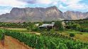 Vinice a olivové háje Tokara v oblasti Stellenbosch