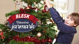 Adventní kalendář Blesku - výherní okénko pro 2. 12.: Jak správně zdobit vánoční stromeček