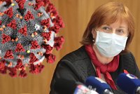 Jak se proměnila práce hygieniků? Rážová o tabulkách, vyčerpání i hlášení pro Babiše