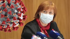 Jarmila Rážová, hlavní hygienička na tiskovce ministerstva zdravotnictví (13. 11. 2020)