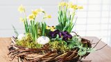 Přivítejte jaro u vás doma. Inspirace na půvabné květinové dekorace 