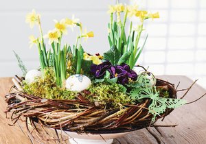 Přivítejte jaro u vás doma. Inspirace na půvabné květinové dekorace 