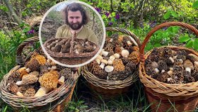 Jiří Dubec sbírá houby celý rok. Tohle je jeho nález smržů.
