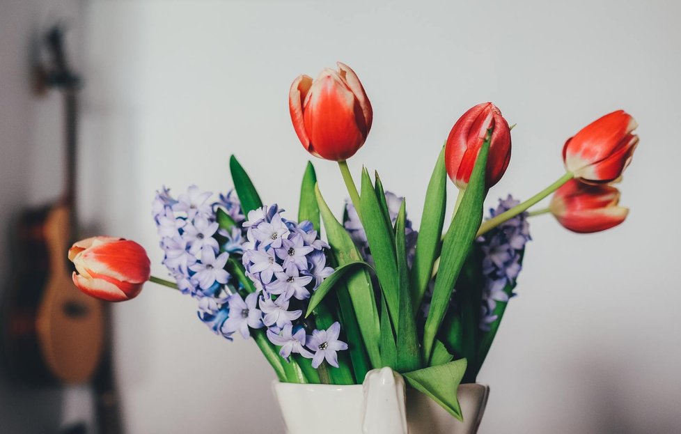 Řezaným hyacintům to sluší ve společnosti tulipánů. Klasickou vázu v tomto případě nahraďte bílým keramickým džbánkem. Vůbec nevadí, je-li trochu otlučený...
