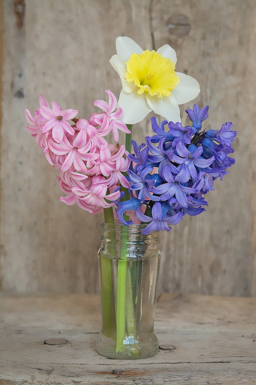 Ozdobná sklenice třeba od nakládané zeleniny poslouží jako miniváza. Tak akorát se do ní vejdou dva různobarevné hyacinty, které rozzáří rozkvetlý narcis.