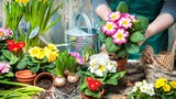Vychytávky Ládi Hrušky: Vyrobte si samozavlažovací květináč za pár minut a skoro zadarmo