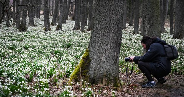 Začátek jara v Česku