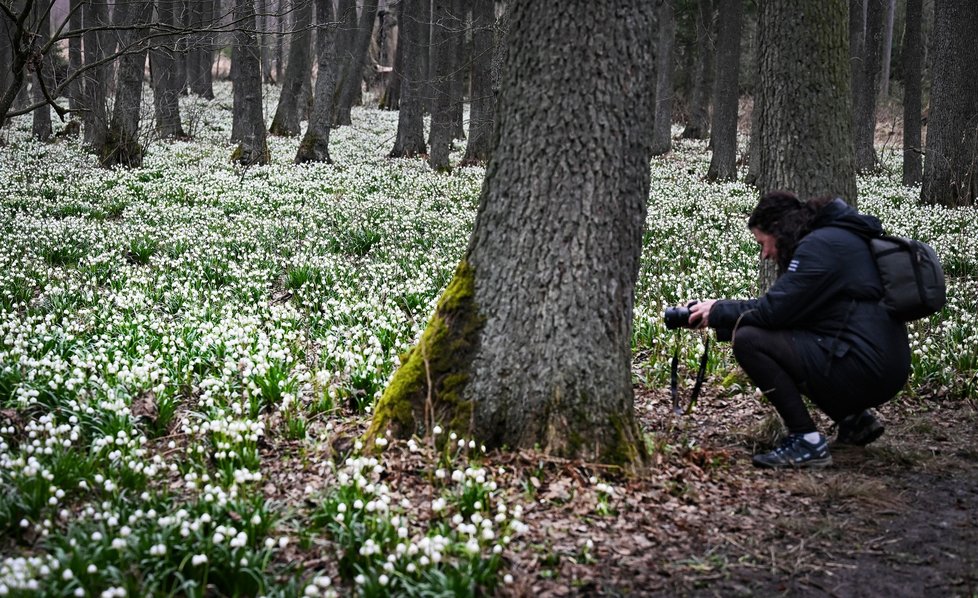 Začátek jara v Česku