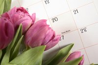 Kdy začíná jaro a proč je datum jiné, než nás učili ve škole?