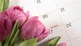 Kdy začíná jaro a proč je datum jiné, než nás učili ve škole?