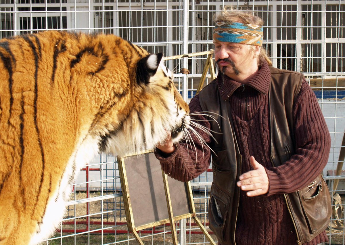 Principál Jaromír Joo (†65) s tygřím samcem Borneo.