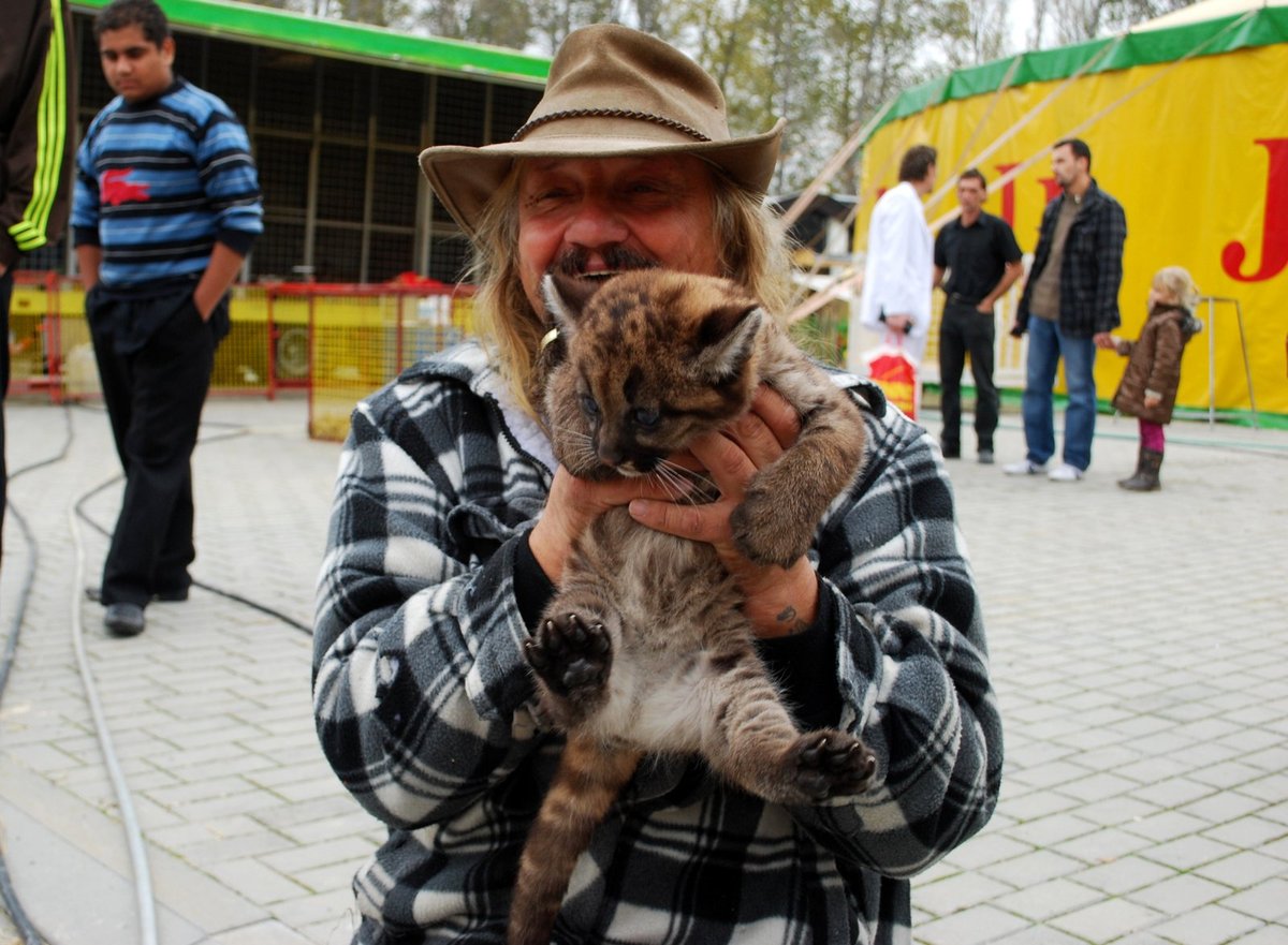 Principál Jaromír Joo s »koťátkem« pumy americké Kiarou.