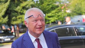Šéf poslanců ANO Jaroslav Faltýnek