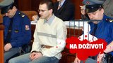 Na doživotí: Zabíjel pro peníze, těla zakopával v lese. Trojnásobný vrah Hejna ve Valdicích odmaturoval