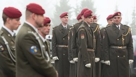 Česká armáda (ilustrační)