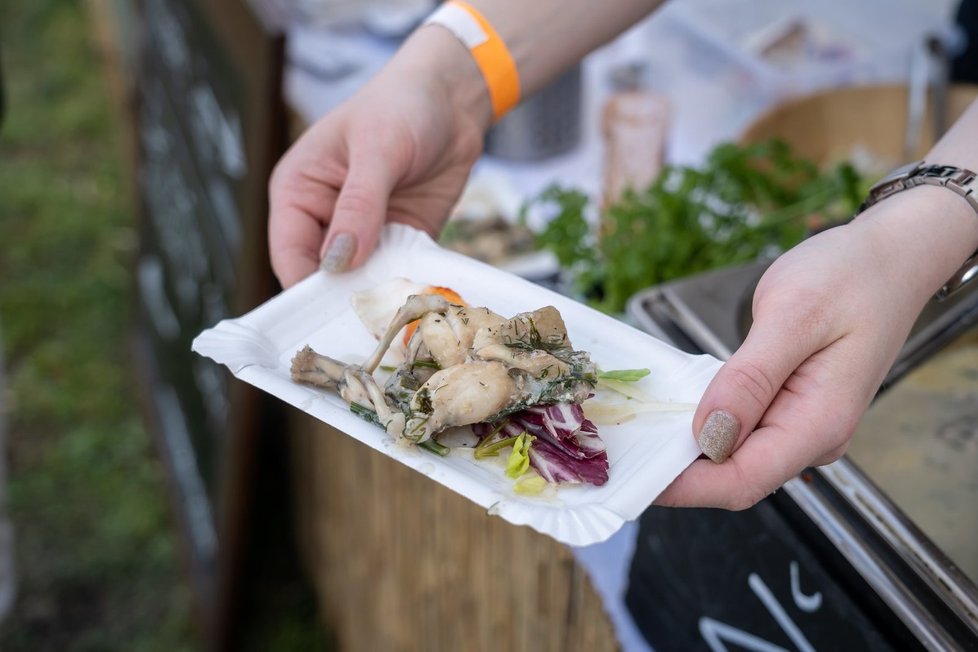 Na festivalu se podává řada nezvyklých pokrmů